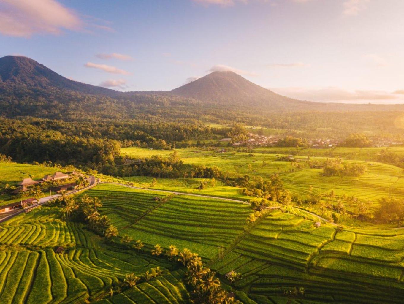 Alam Desa Kuala Makmur yang Asri